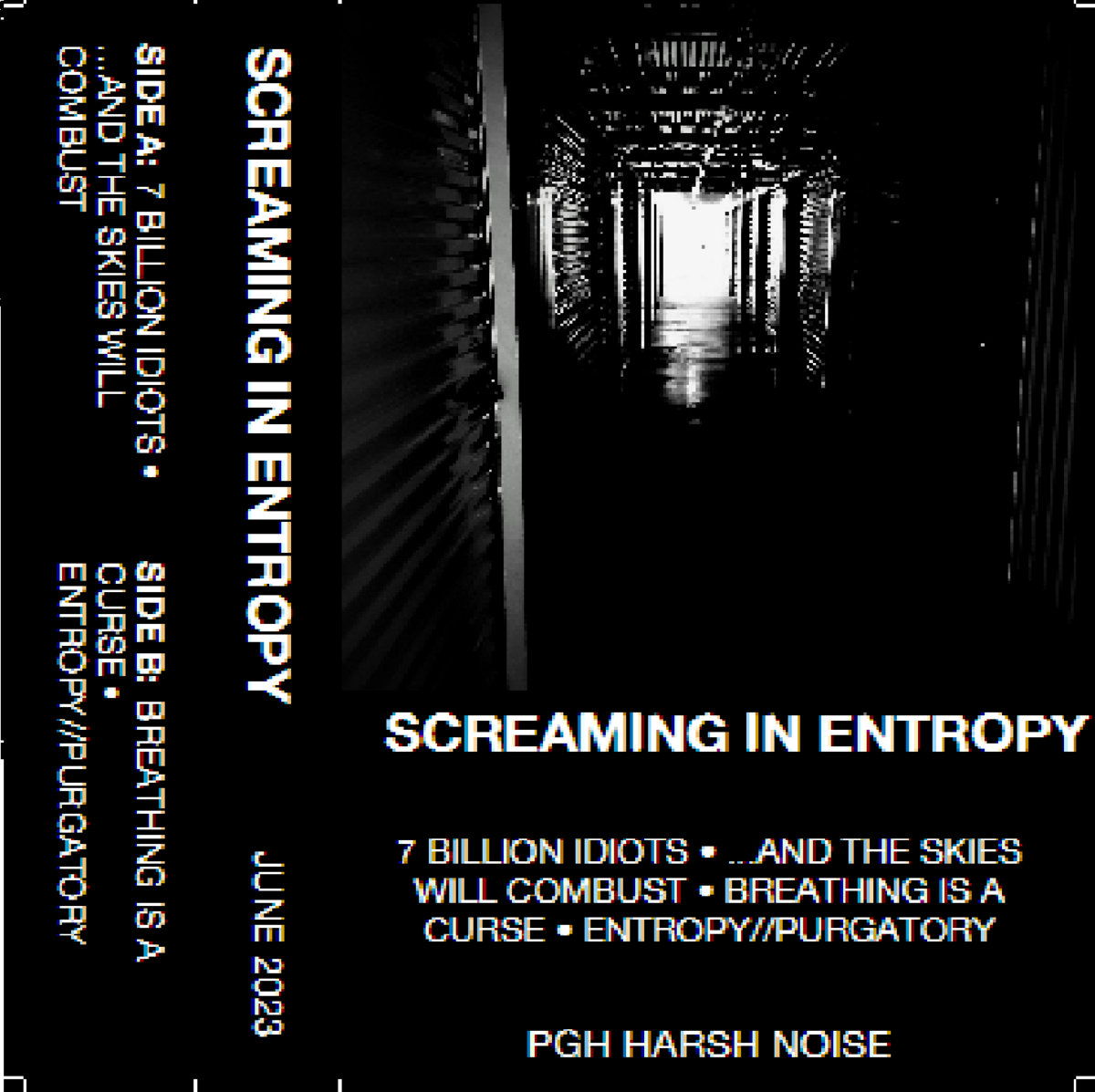 Screaming in Entropy