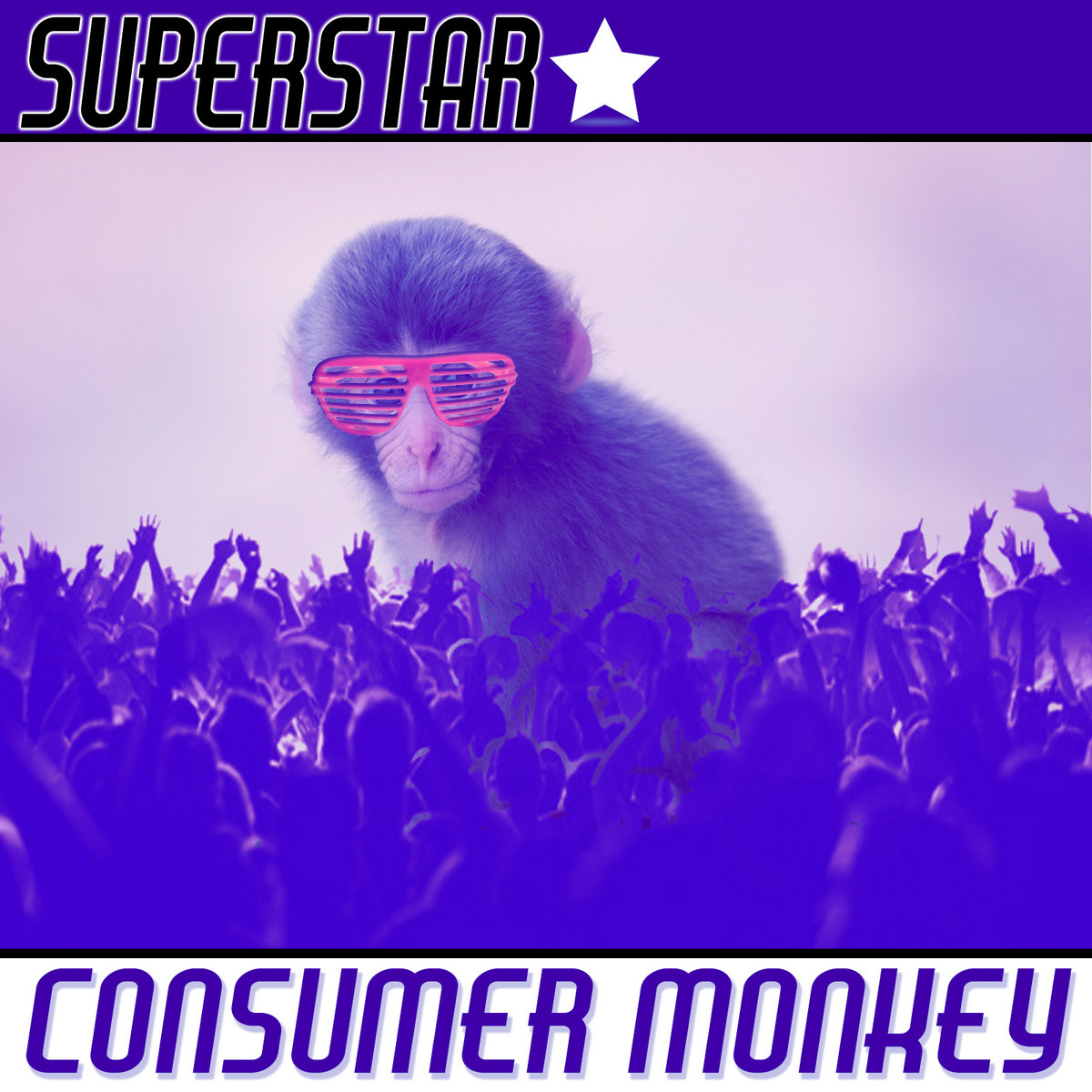 Superstar Consumer Monkey