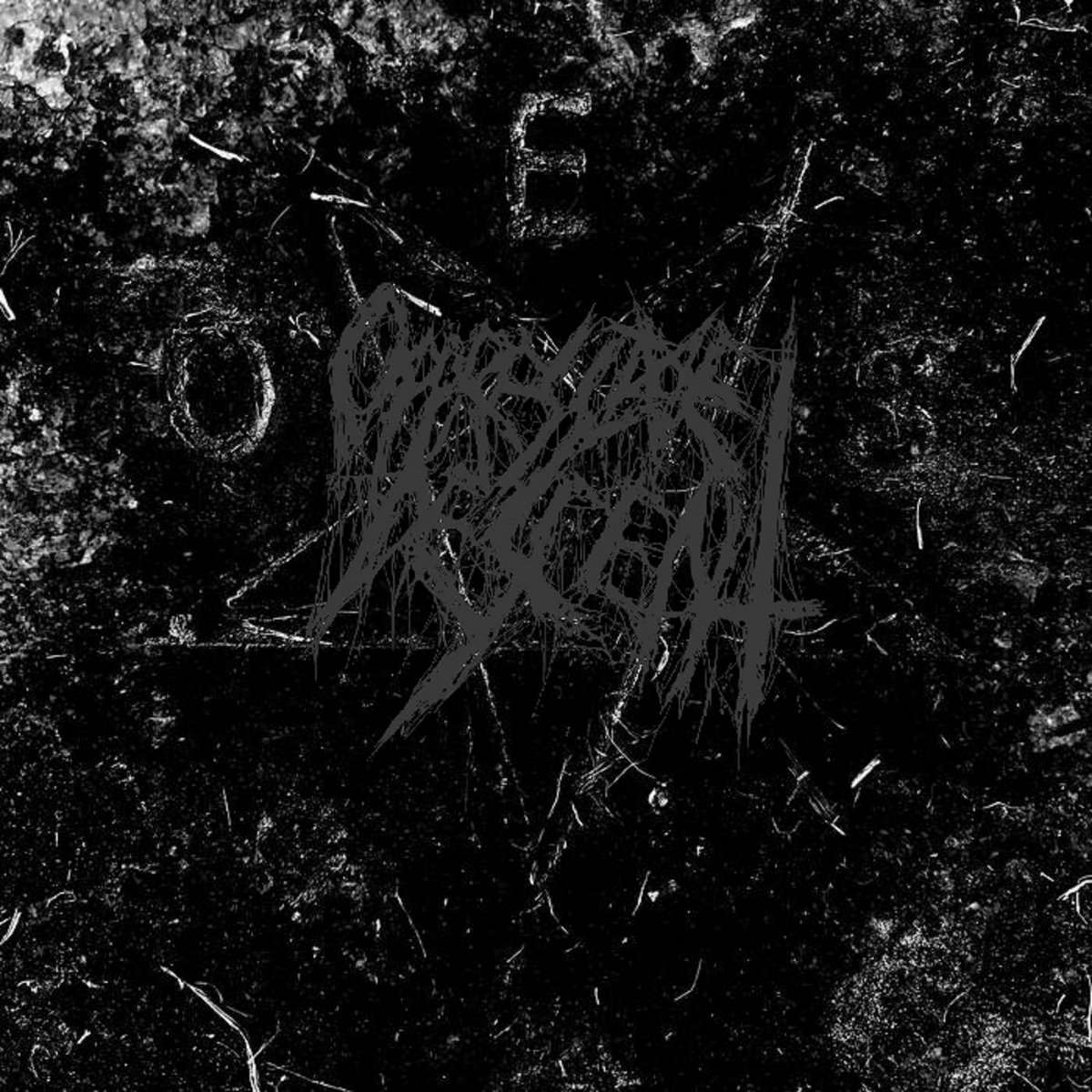 Within the Horrific Vault