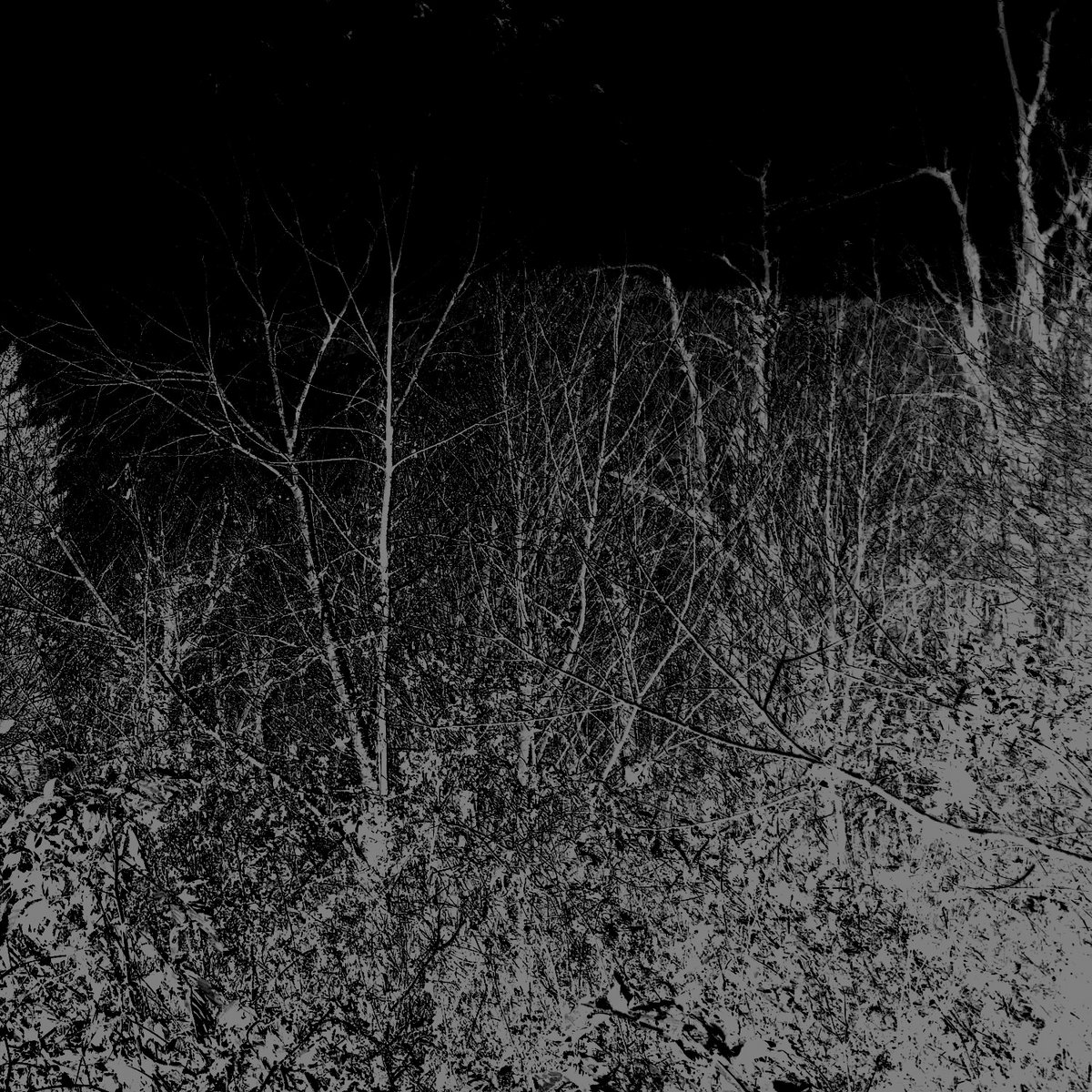 Saturn Form Essence / Swine Soul