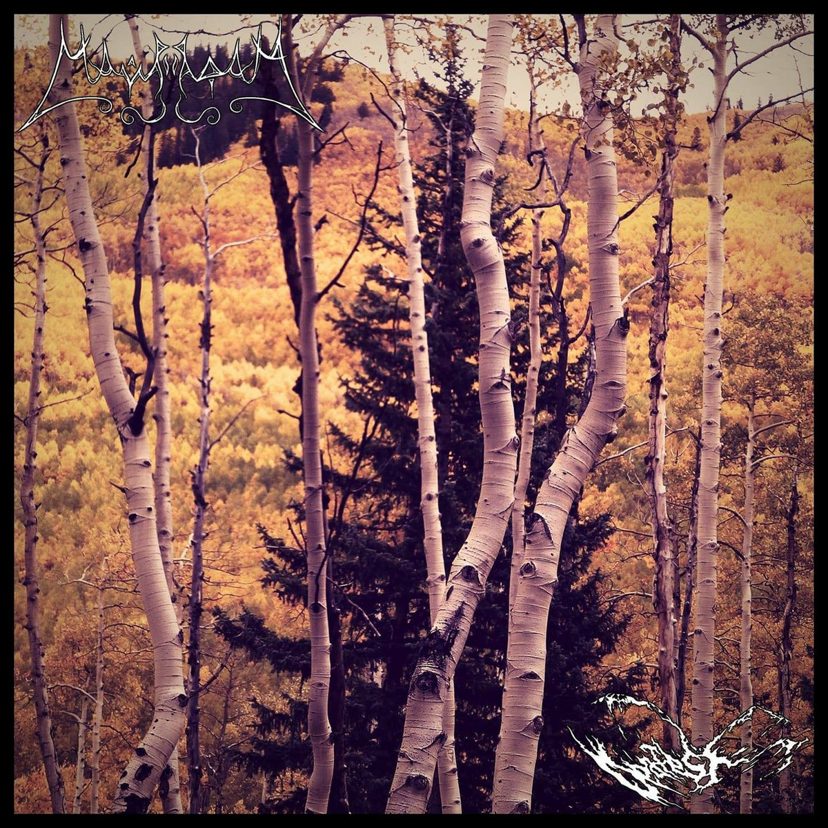 Mavradoxa / Deafest Split