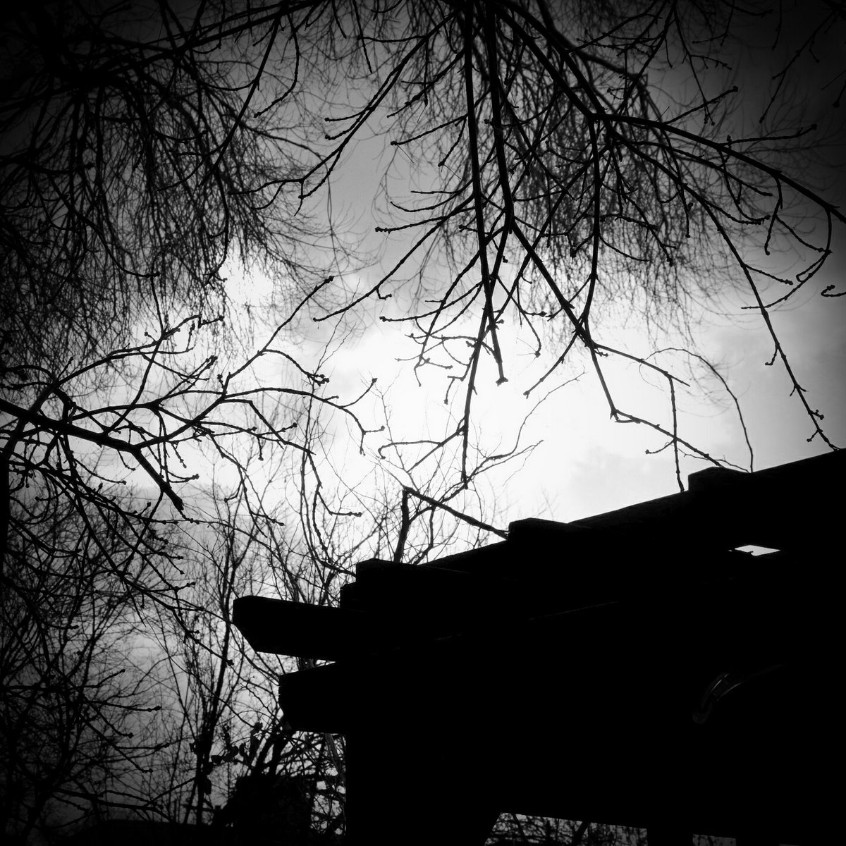 Complete Disarray (Demo 2013)