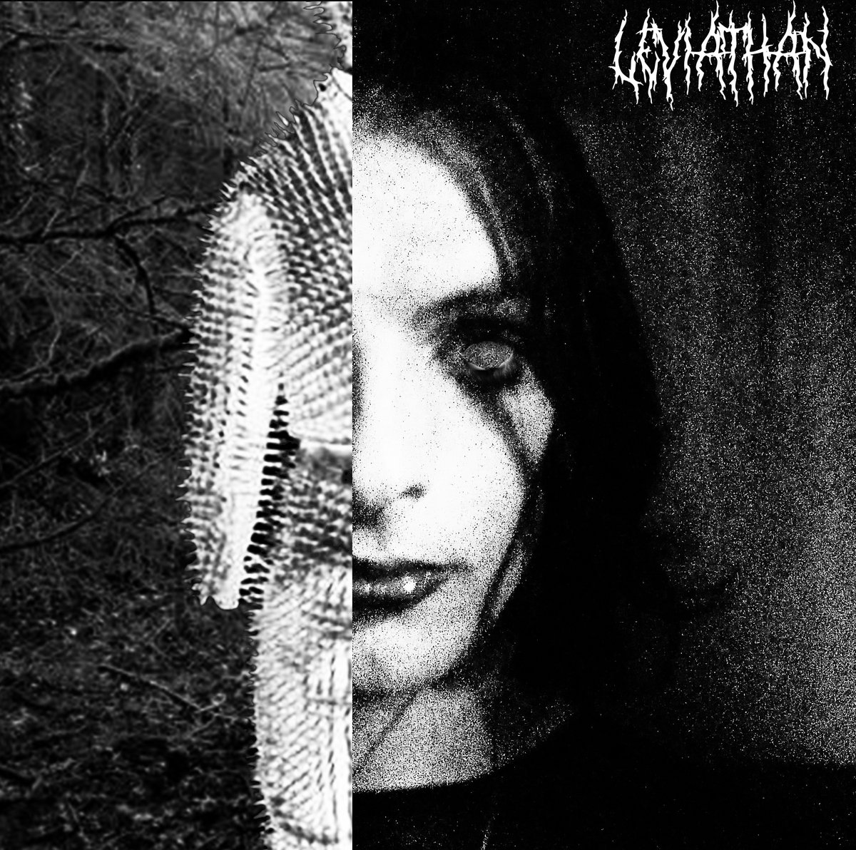 Proportions All Wrong