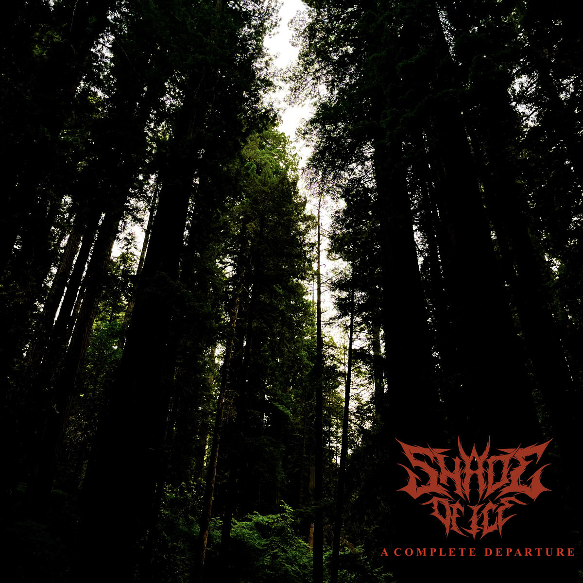 A Complete Departure