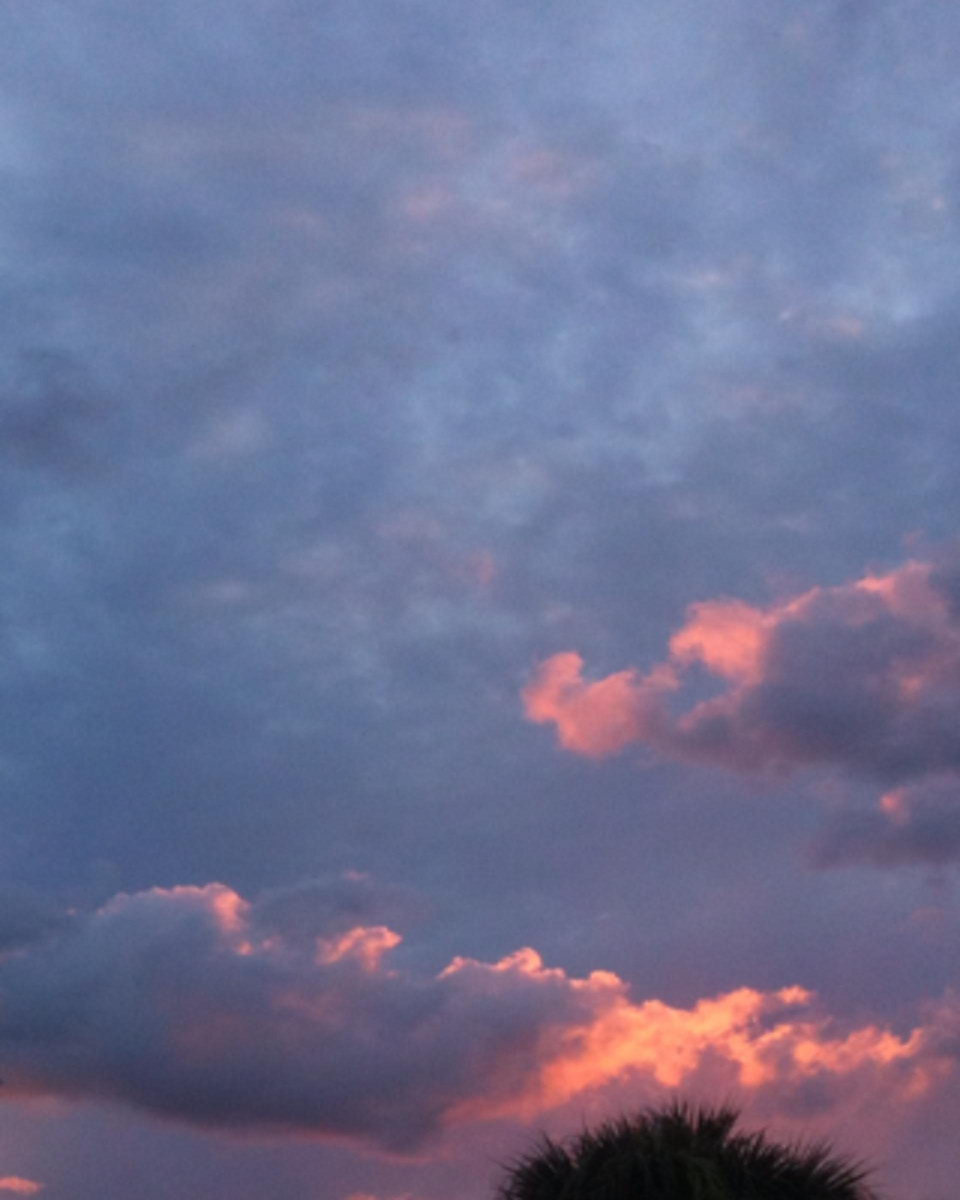 Tuesday's Electrocutions