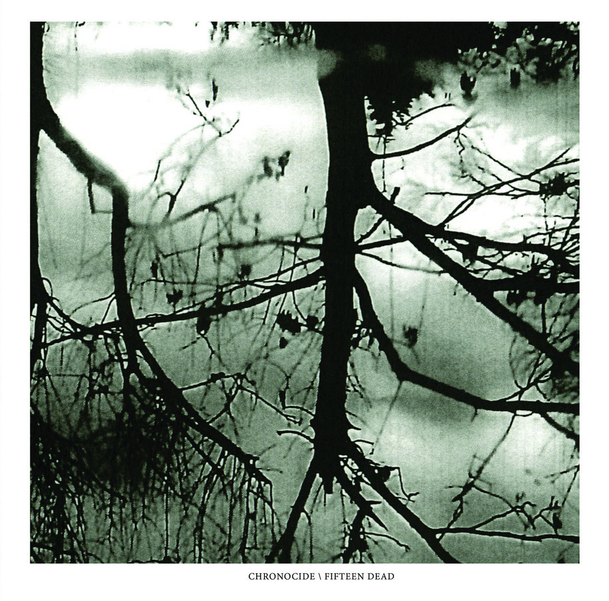 Chronocide/Fifteen Dead Split