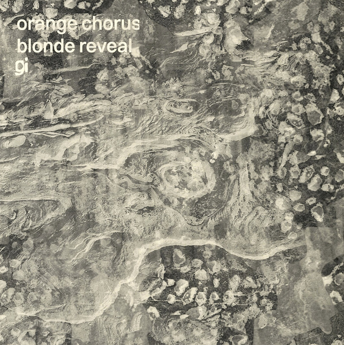 Orange Chorus Blonde Reveal