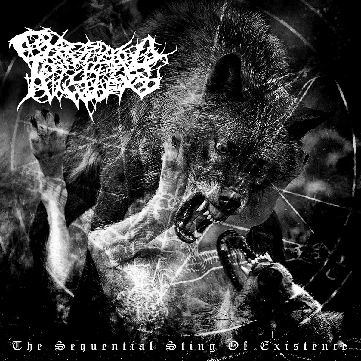 The Sequential Sting Of Existence