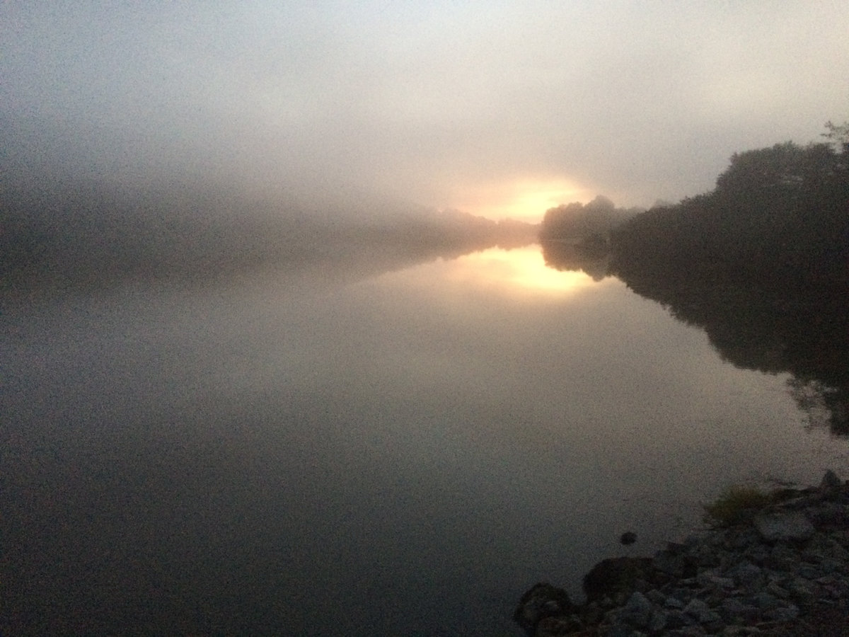 Things You See When You Close Your Eyes