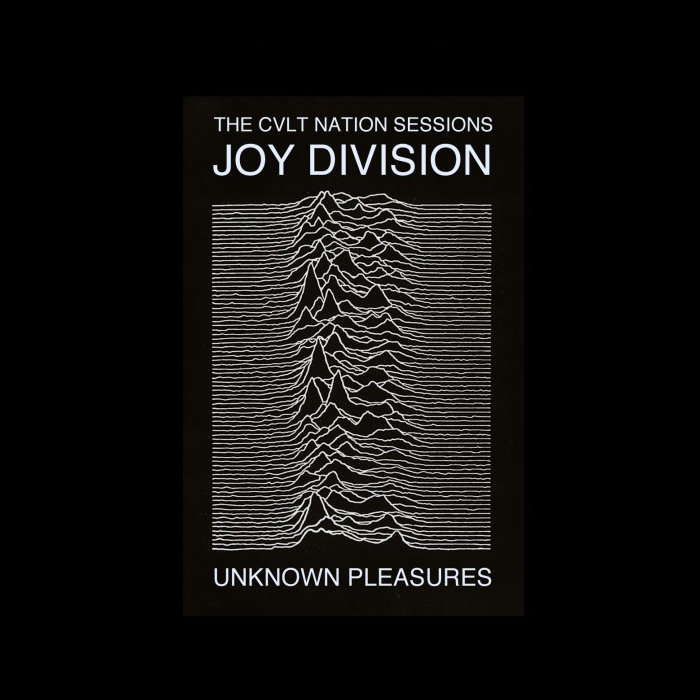 I Remember Nothing (Joy Division)