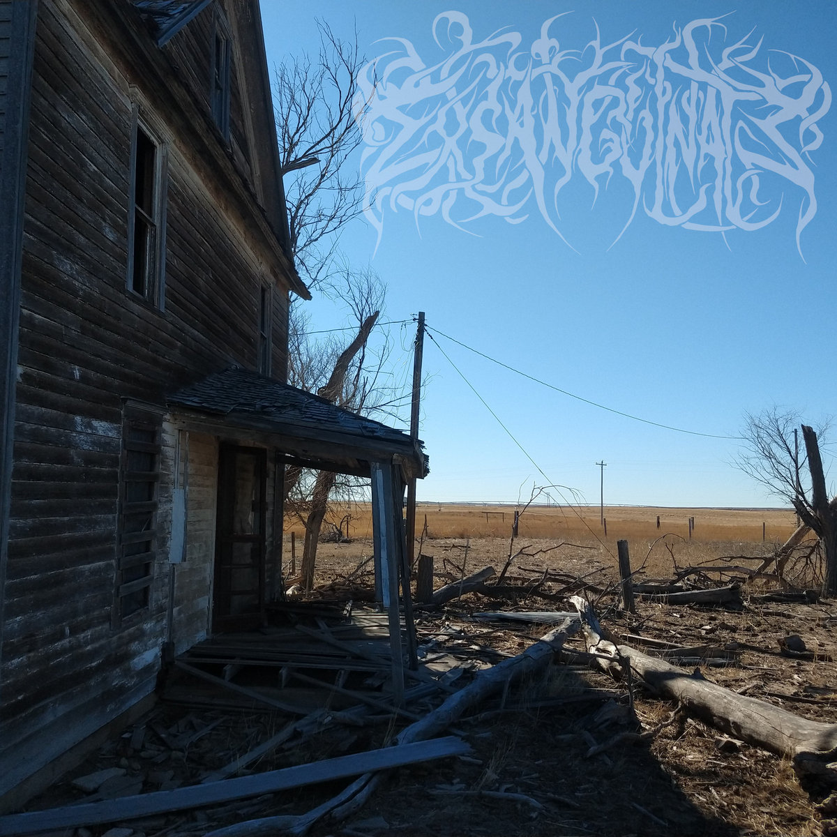 Violence Is The Natural Law