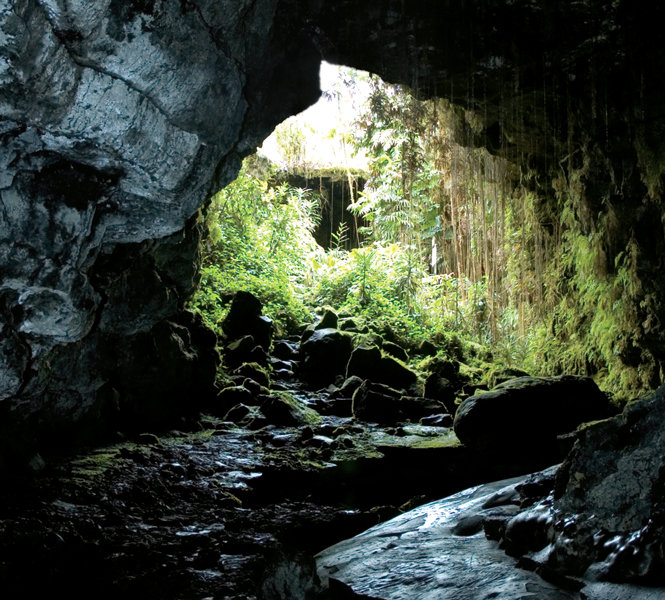 Aseethe / Ghaust Split