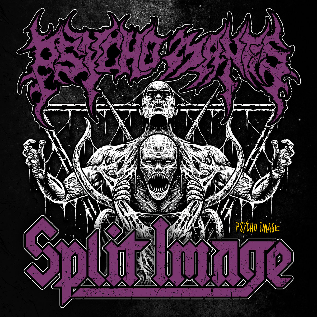 Psycho Image (Split)