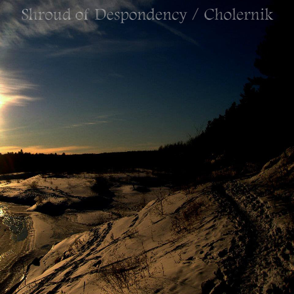 Shroud of Despondency/Cholernik Split