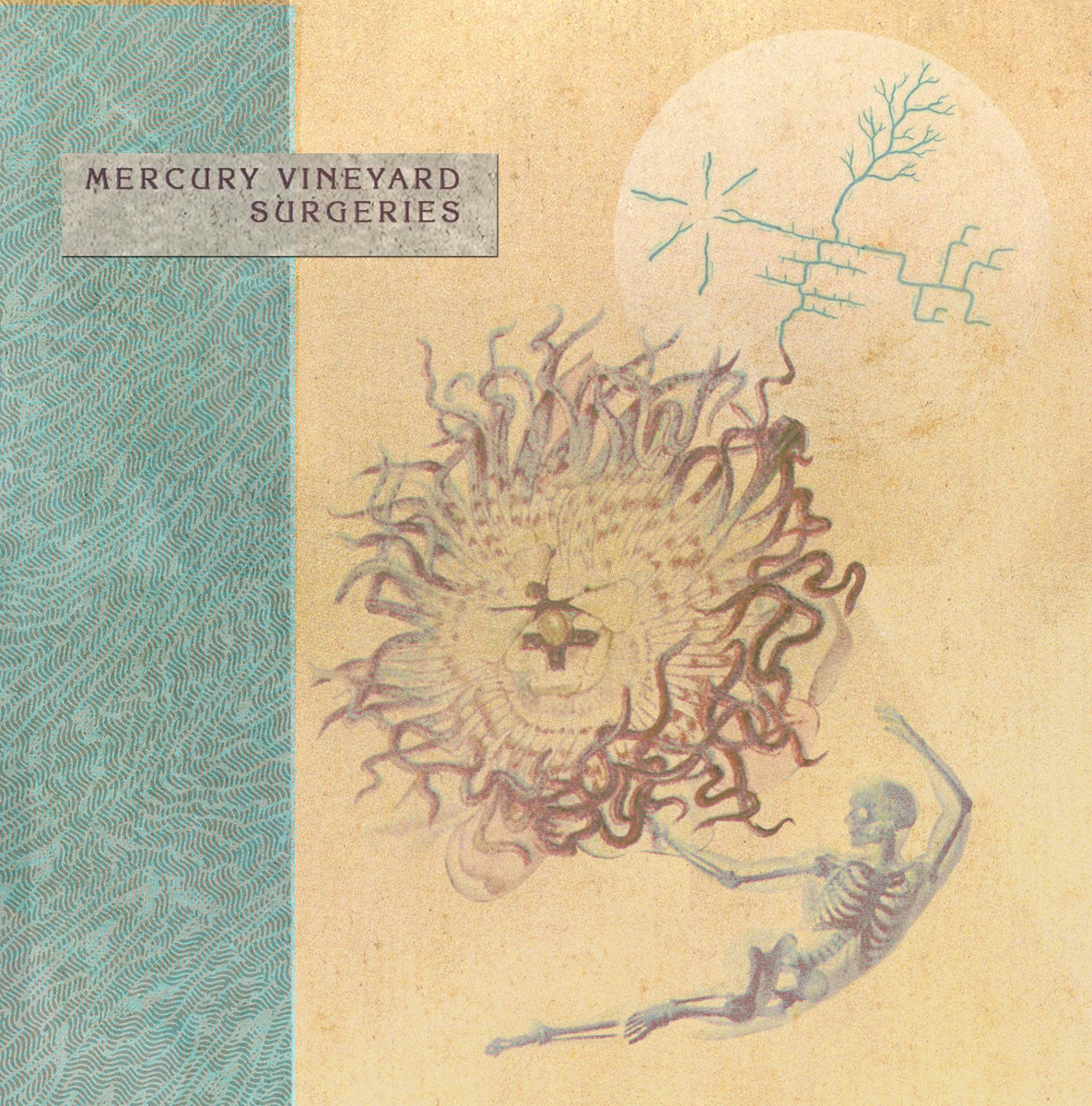 Mercury Vineyard Surgeries