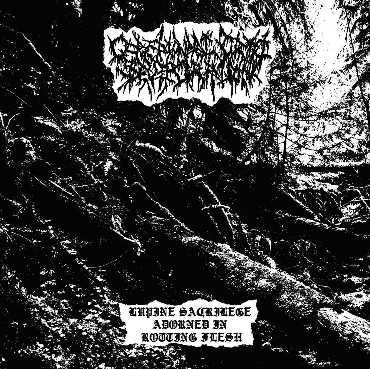 Lupine Sacrilege Adorned in Rotting Flesh