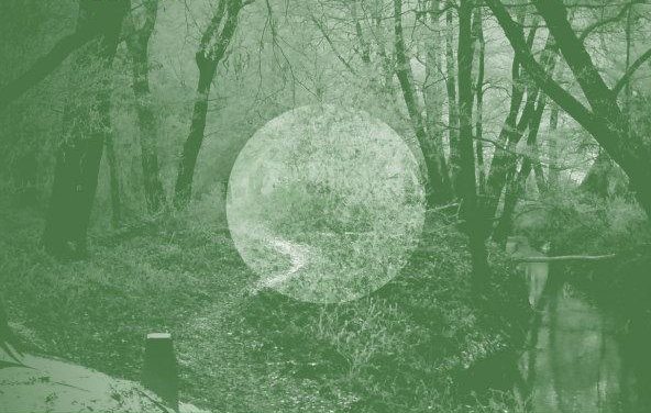 Split Album with ((...))