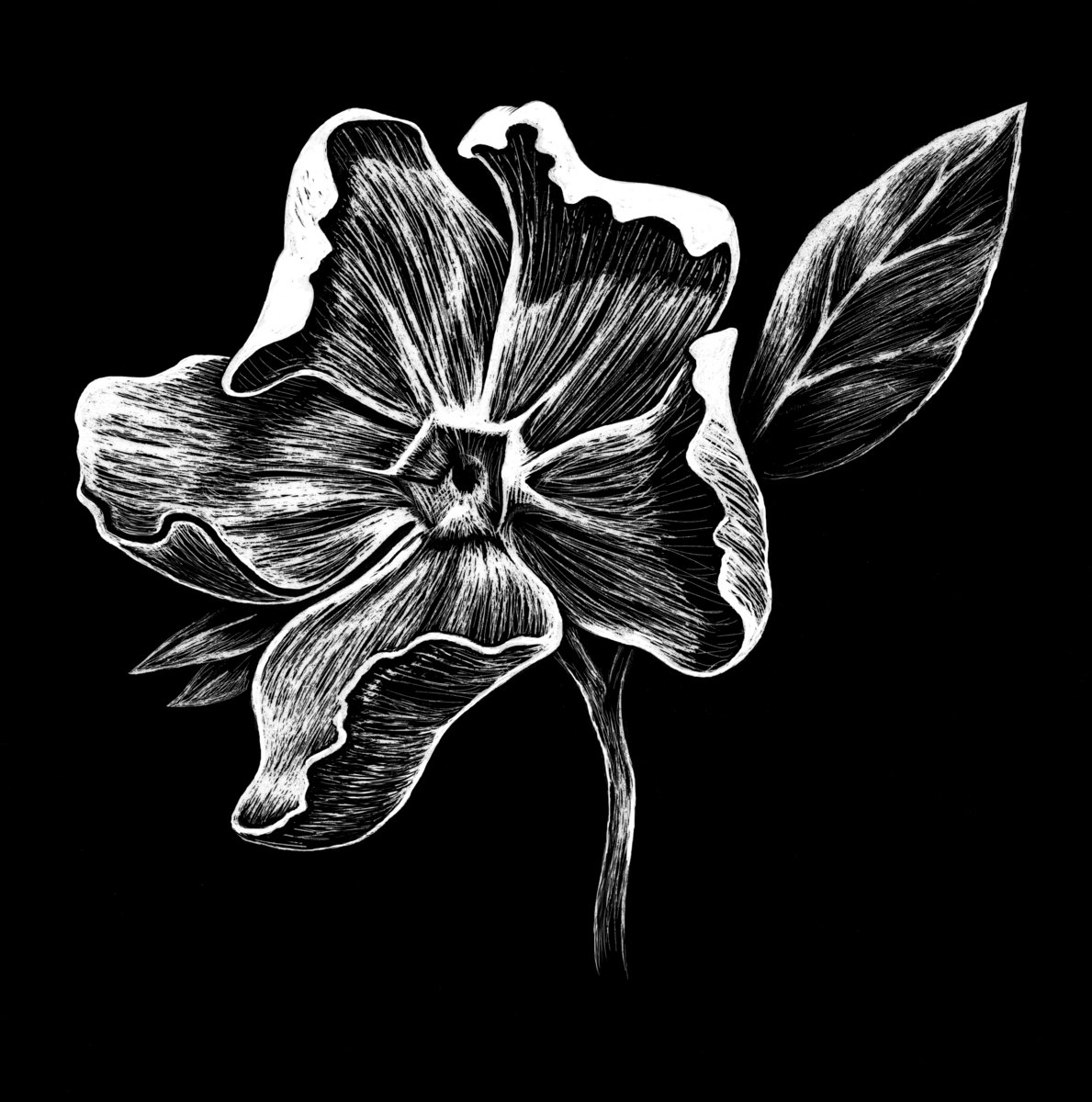 Beautiful Flowers II