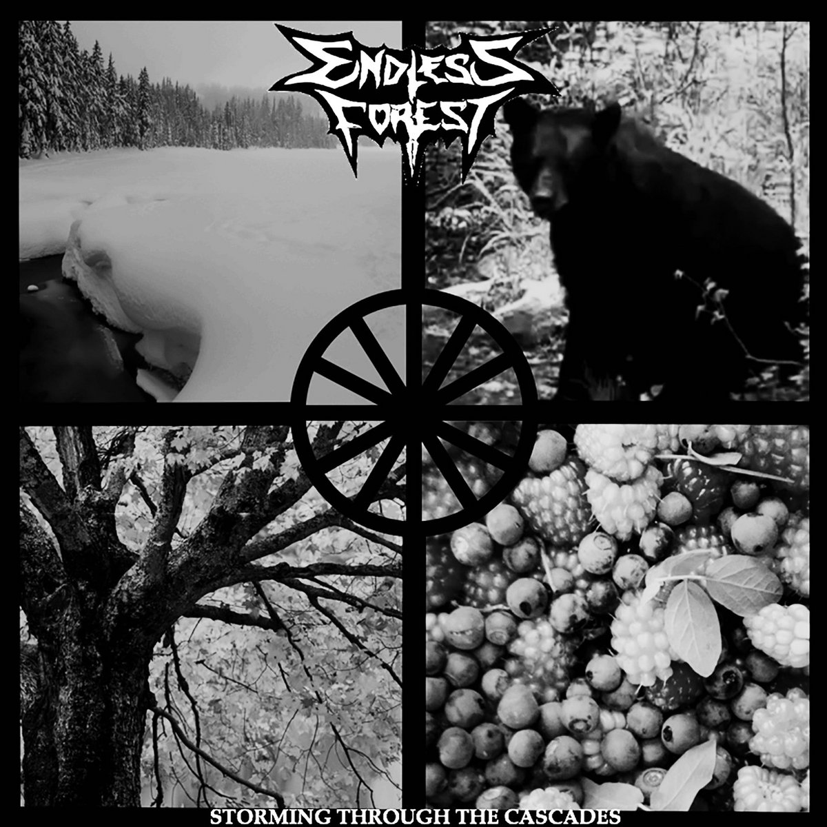 Storming Through the Cascades EP