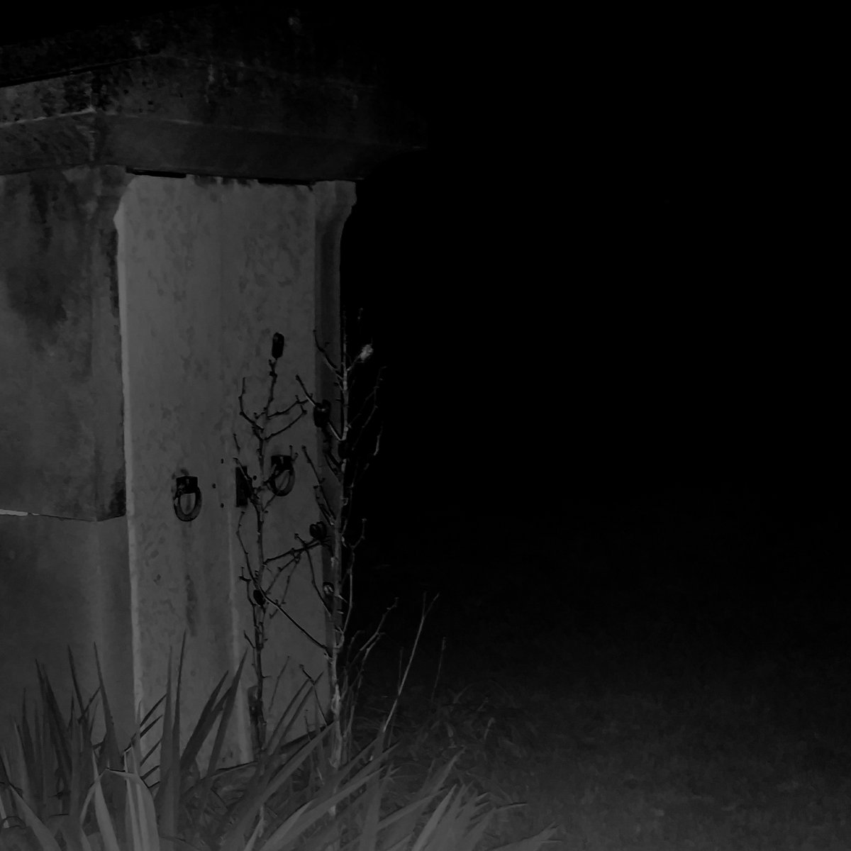 Consider The Following... (Demo)