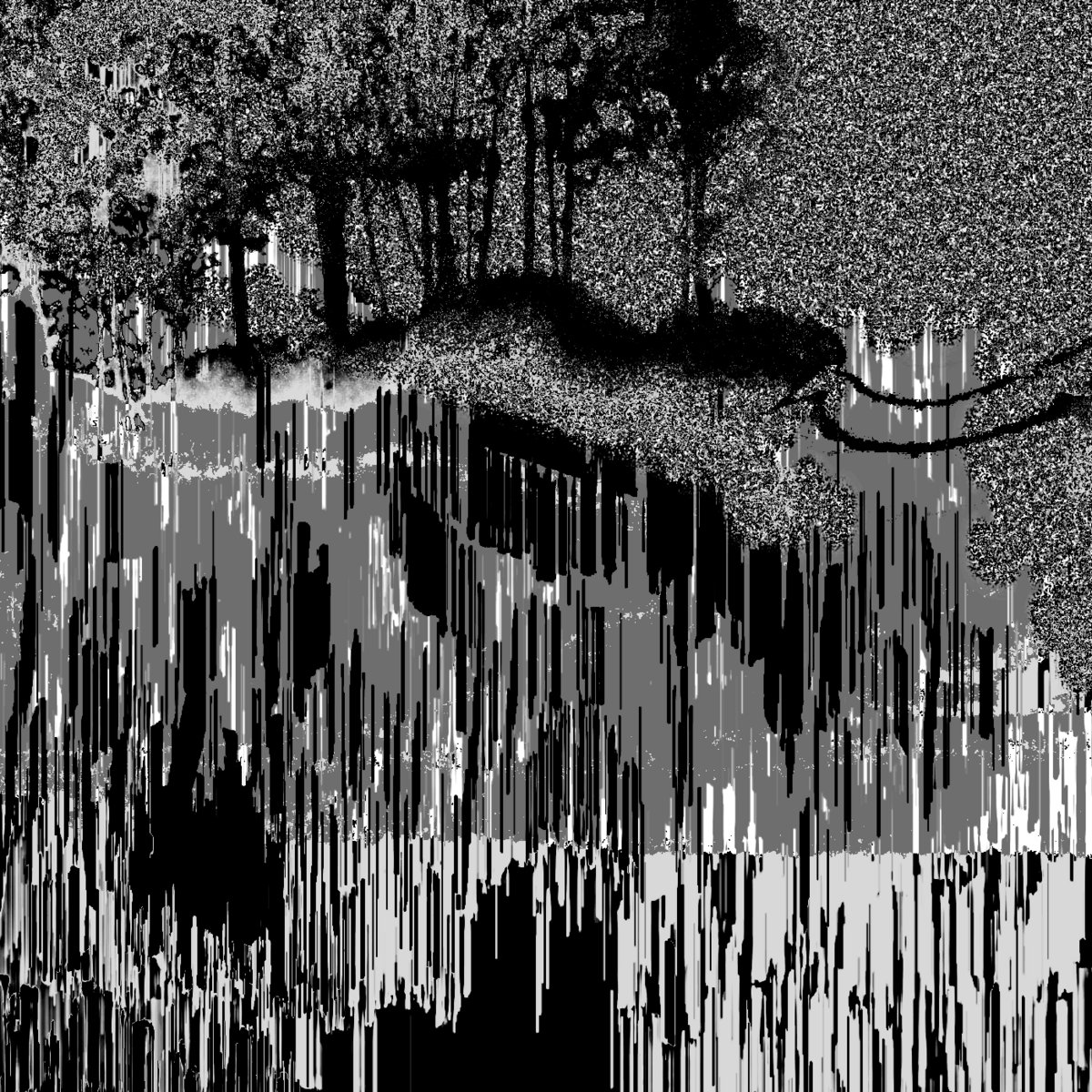 processor (11-16-19)