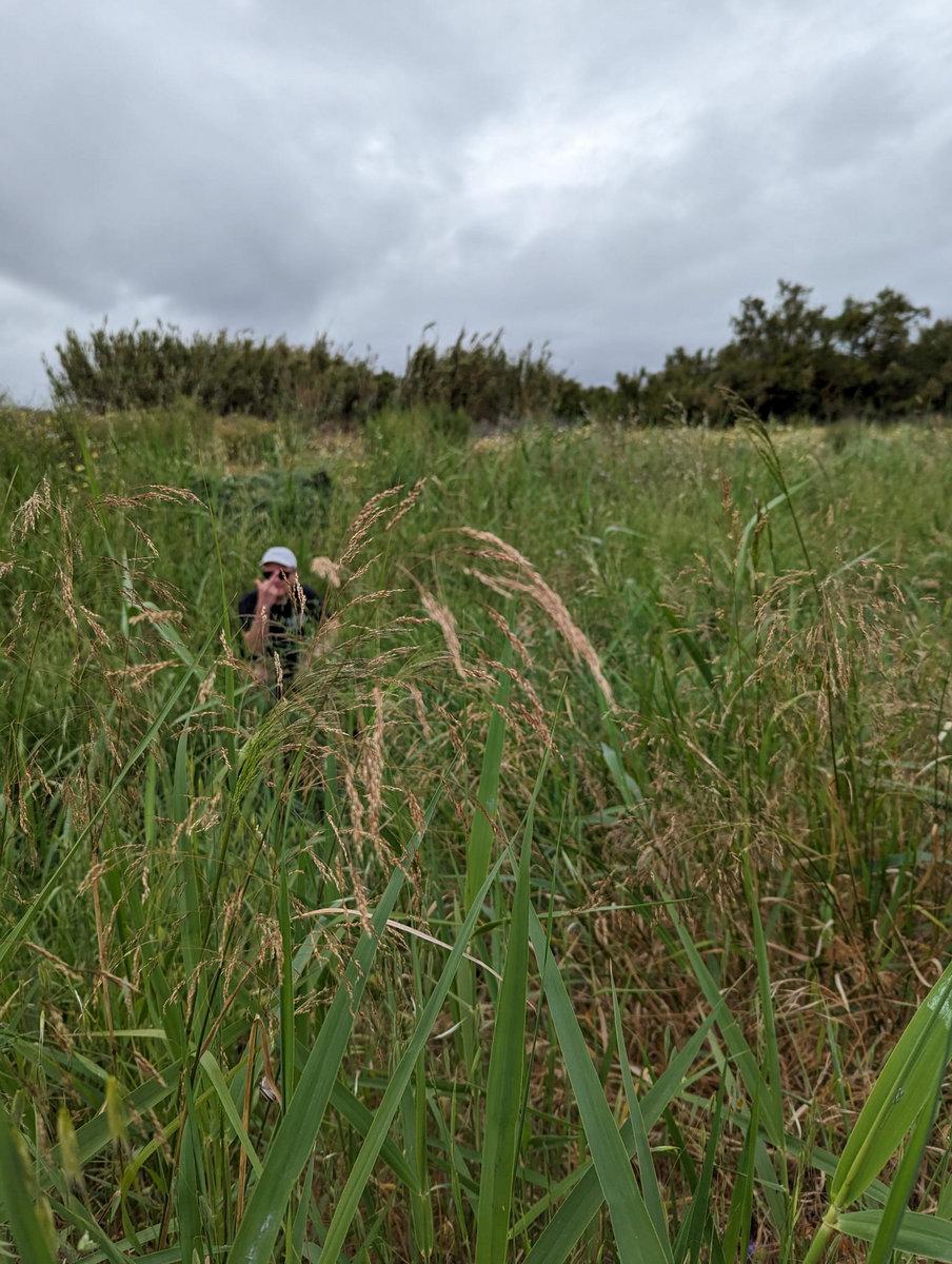 WALK AWAY IN SILENCE