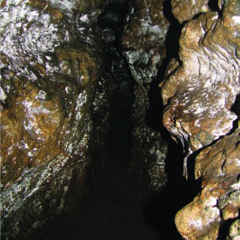 Dark Meditations In Monastic Seclusion