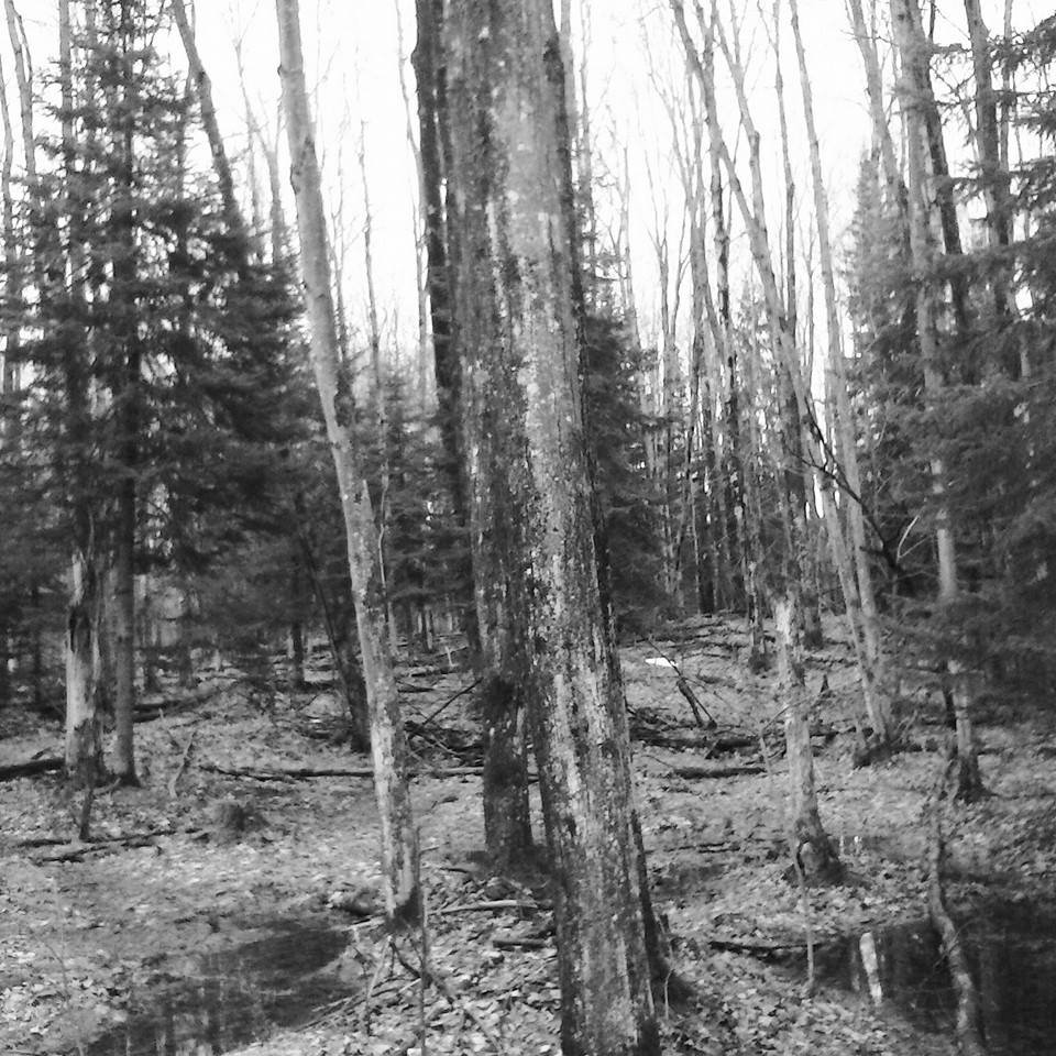 a Manifestation of Hatred