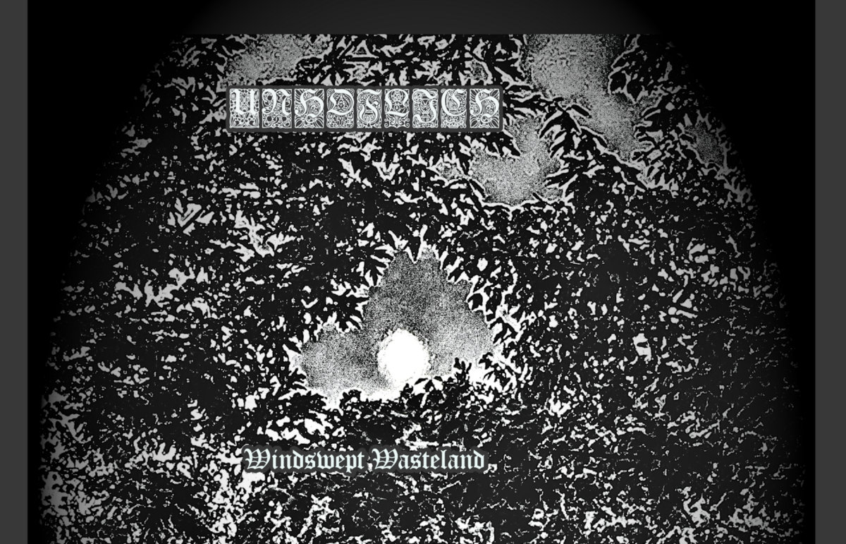 Windswept Wasteland