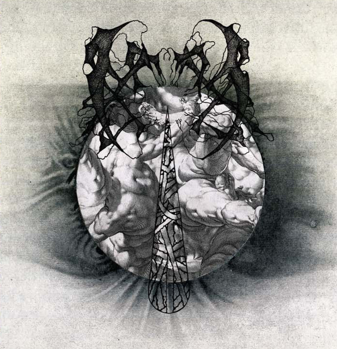 The Beauty of Reason