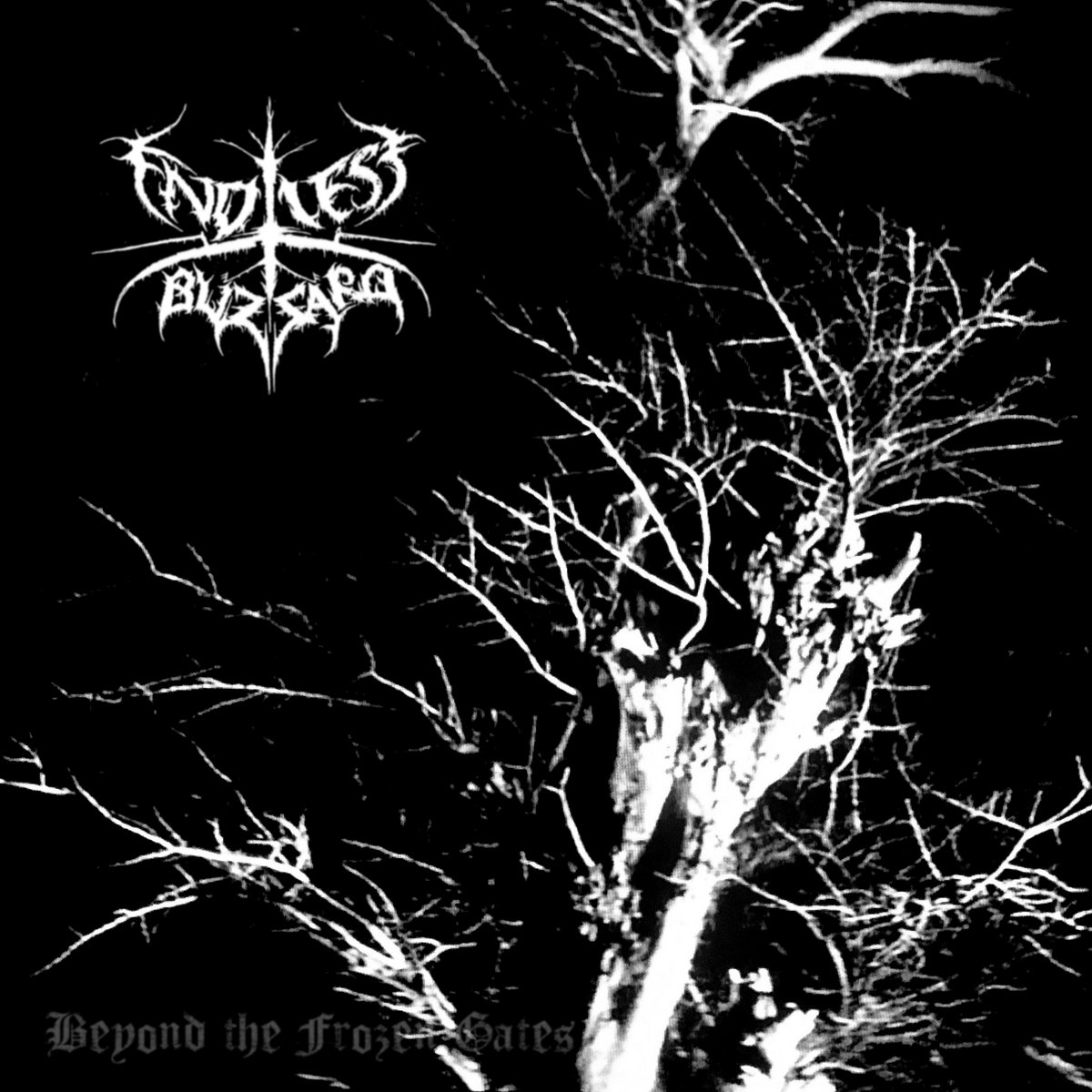 Beyond The Frozen Gates