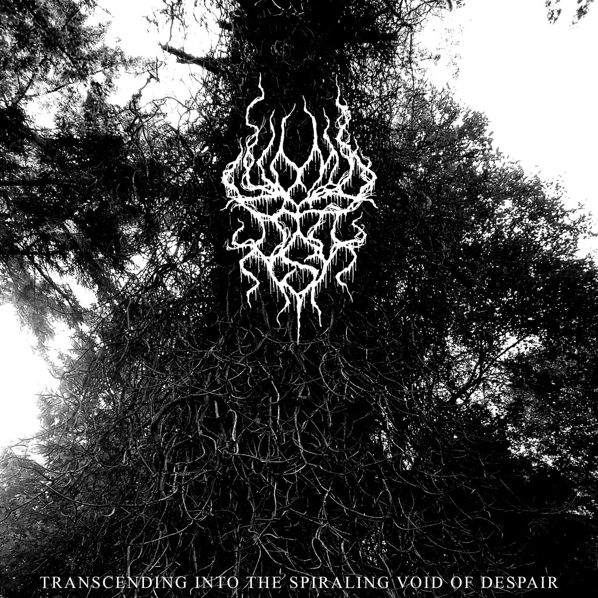 Transcending Into The Spiraling Void Of Despair