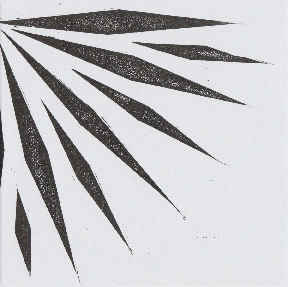 Fireflies & Mosquitoes