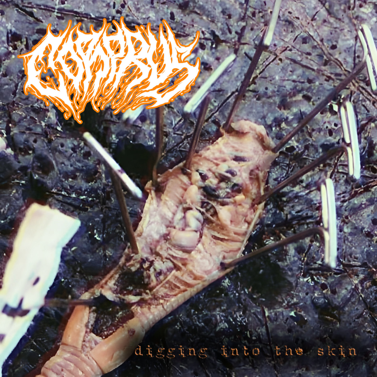 Digging Into The Skin