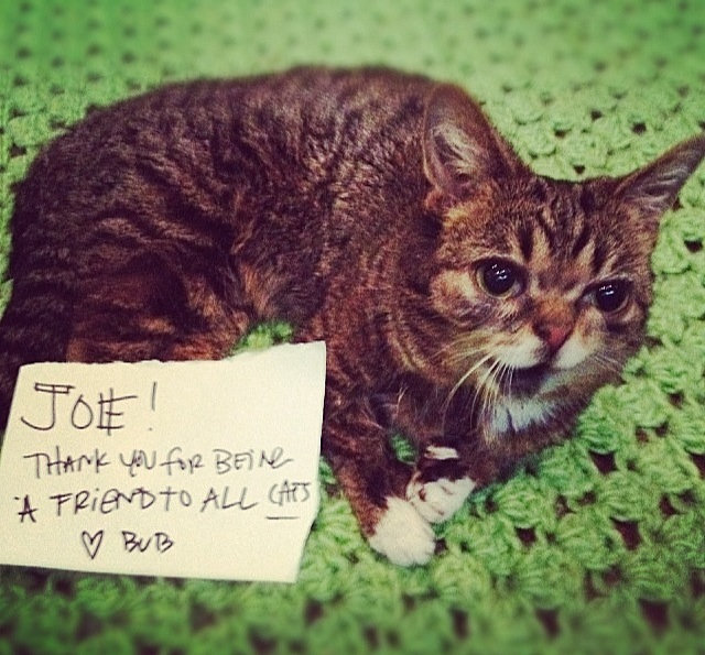 Unlovable and Unnecessary: Thrones Live Series Vol. 5, Russian Recording Studio Bloomington, IN