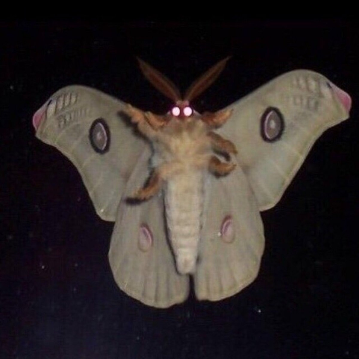 бумажное одеяло