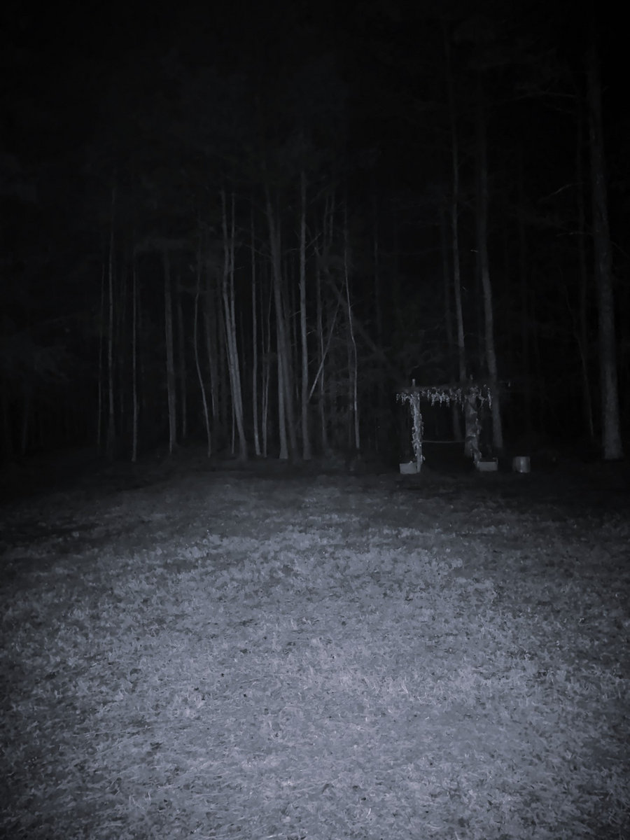 Into the Black Realm