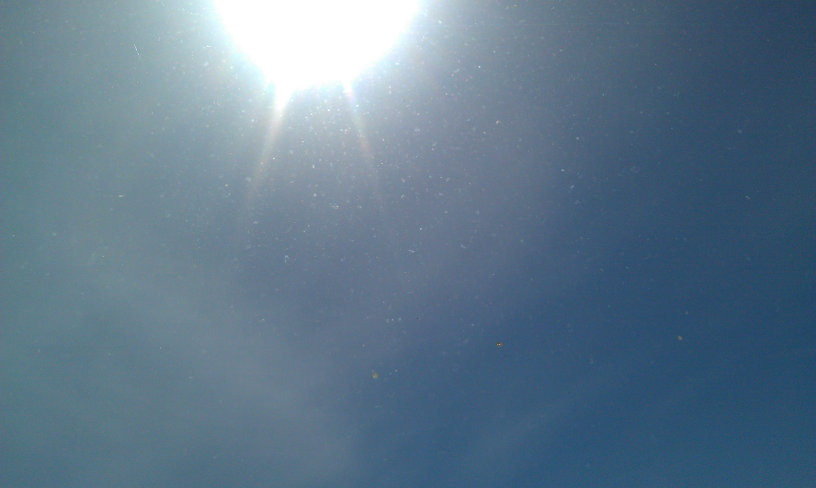 Songs from Bible class