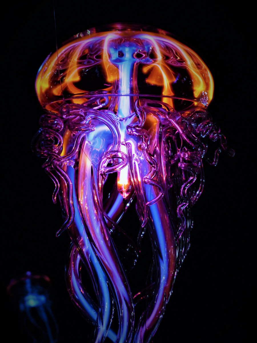 MantiCore Medley Tracks 2019/2020