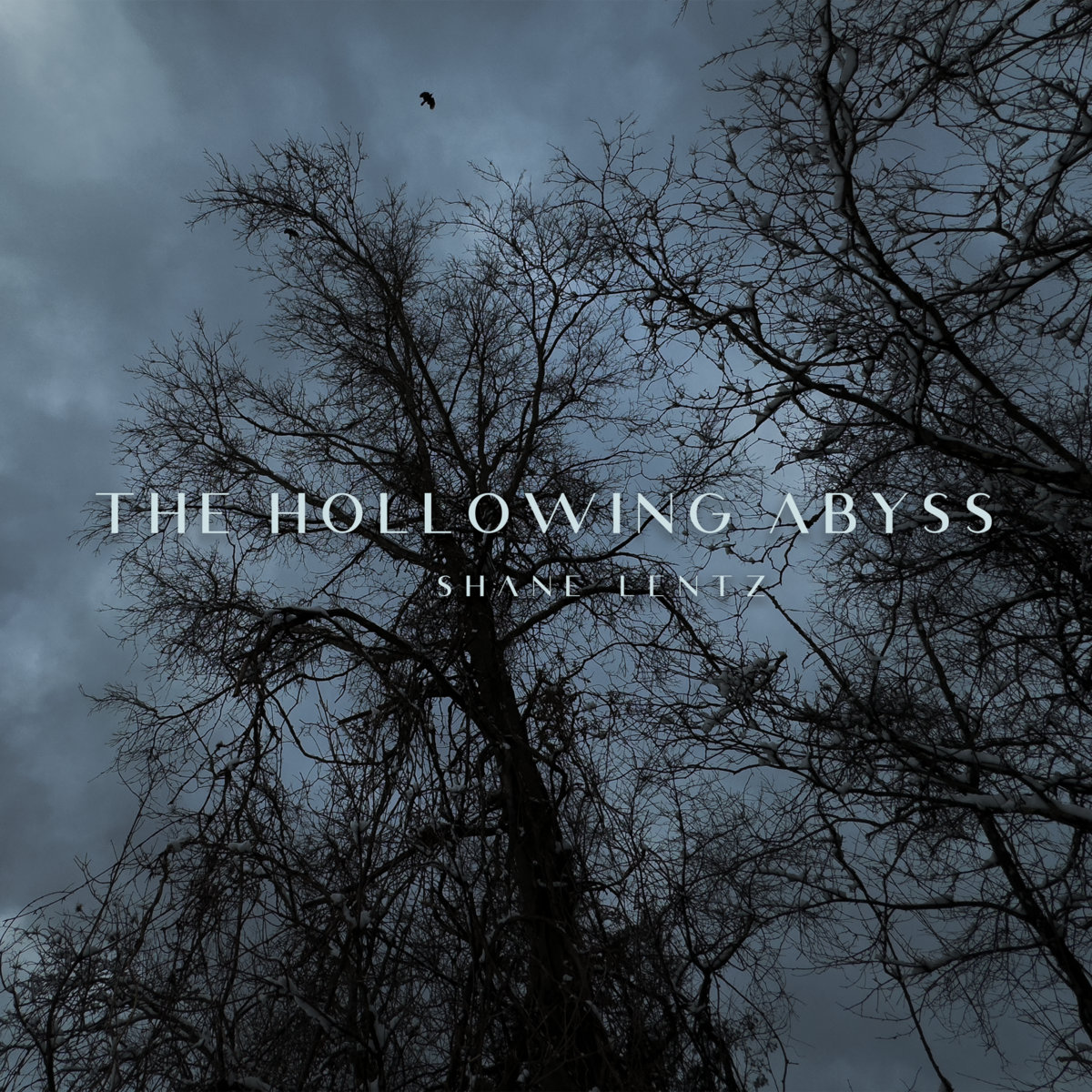 The Hollowing Abyss