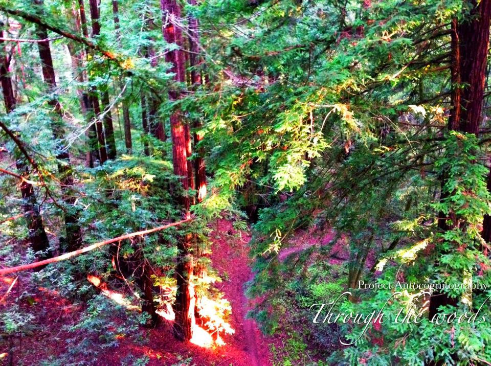 Rosedale 1: The Valley Of Roses