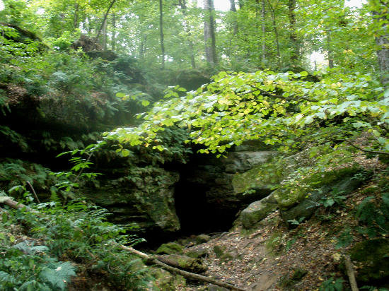 Rotten Entrance To The Ancient Elders' Kingdom