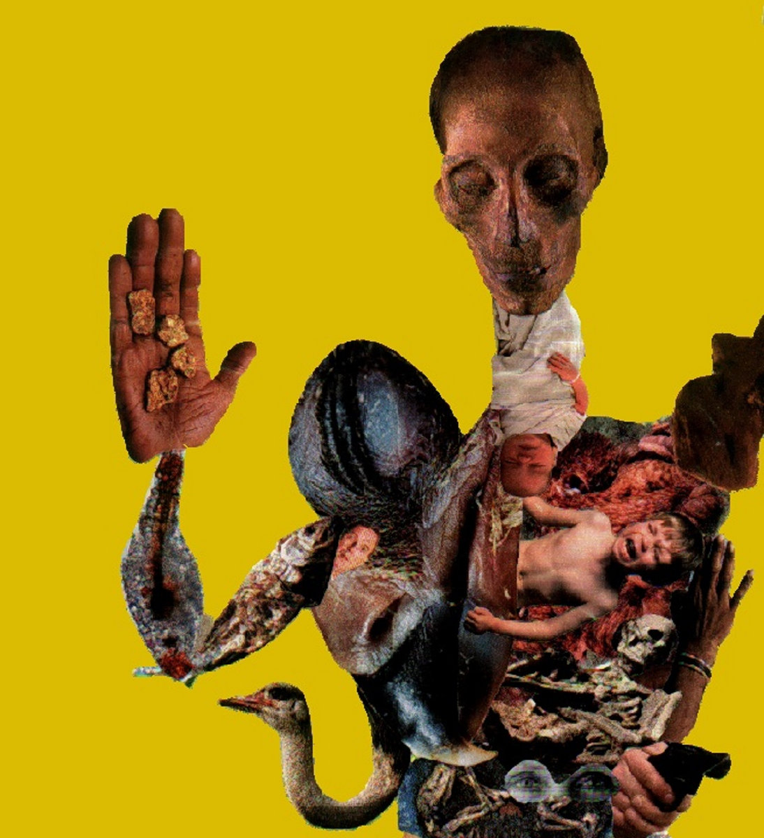 THE STOMACH IS THE FOOT