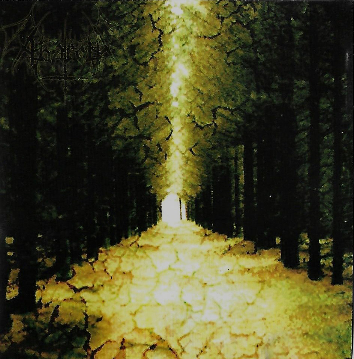 Enter the Kingdom of Night