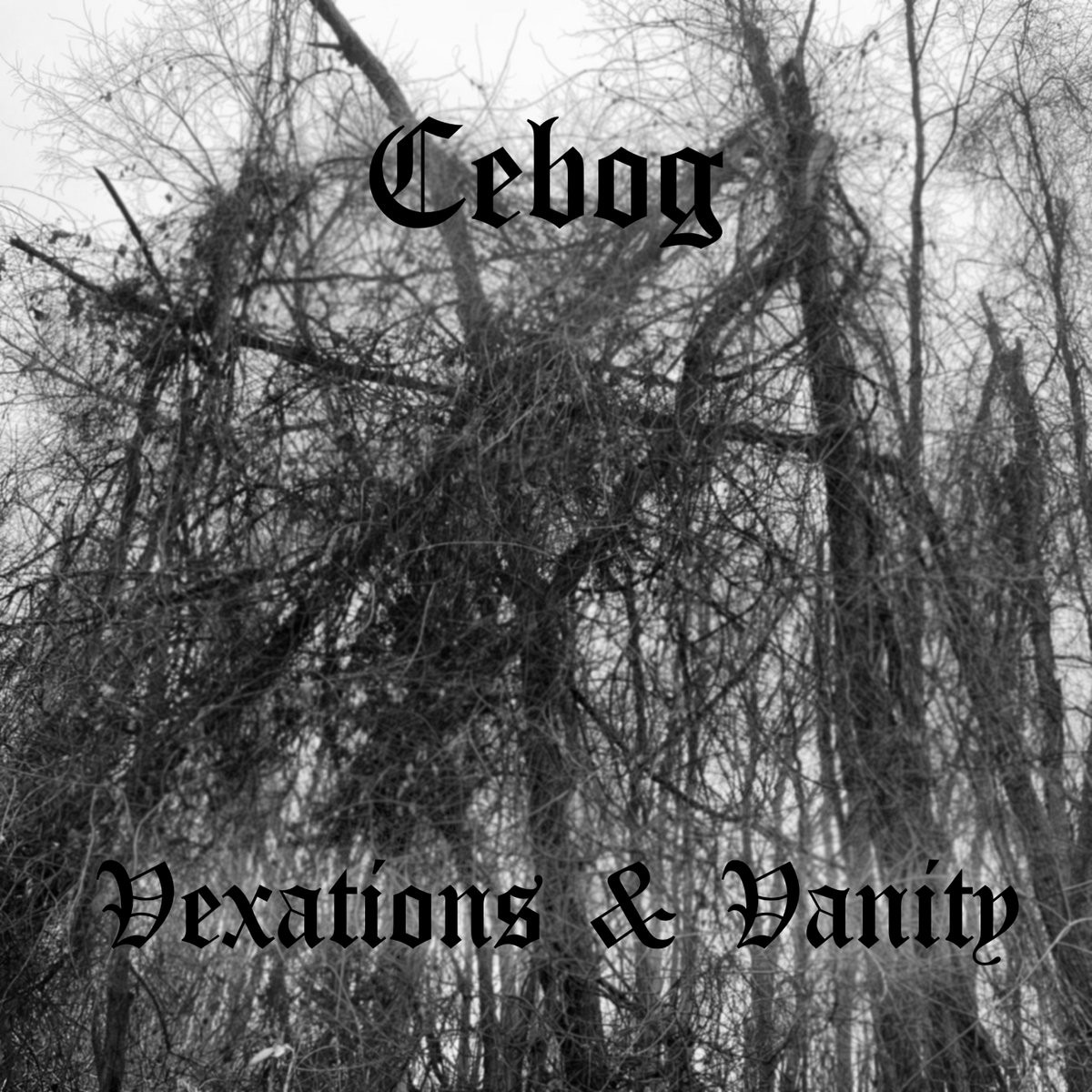 Vexations and Vanity