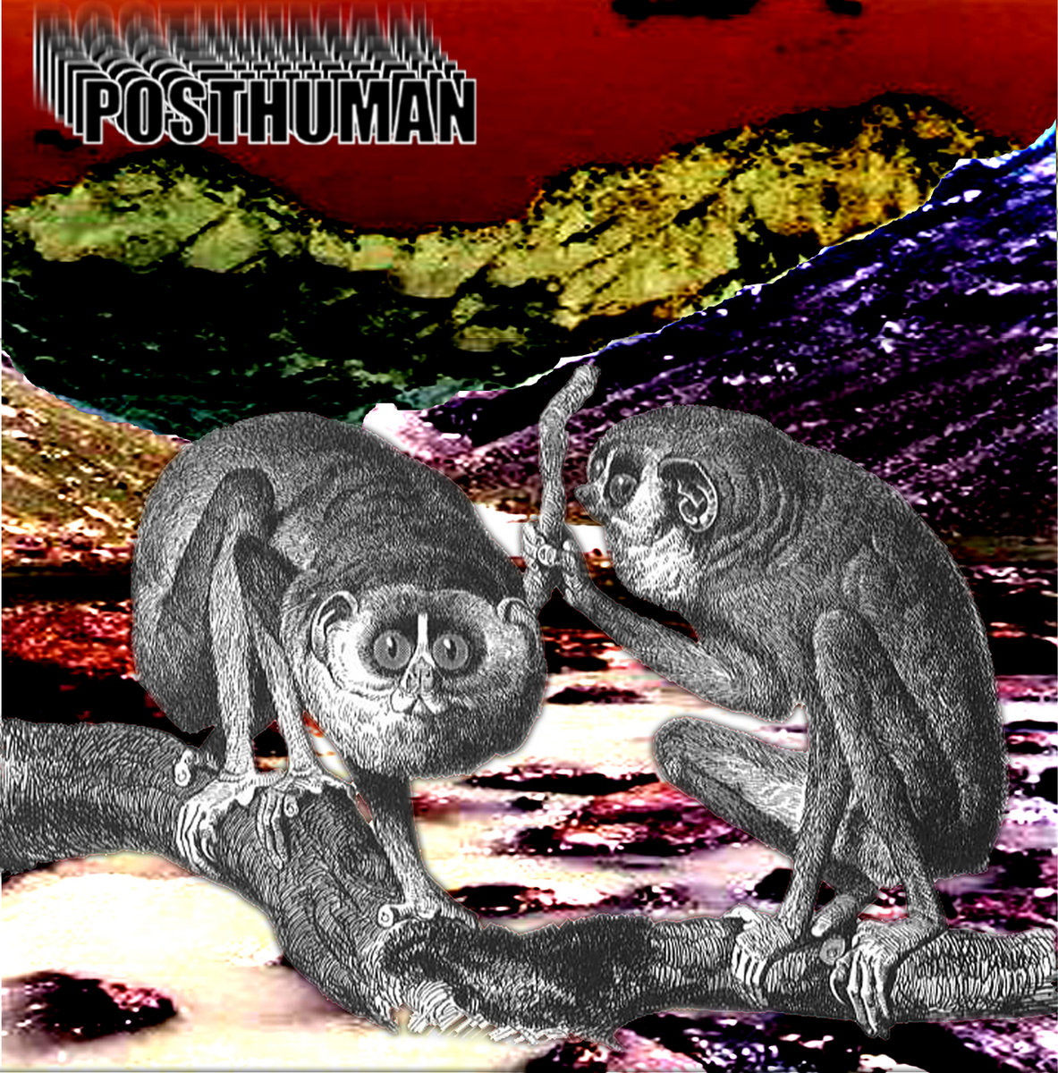 The Uncertainty of the Monkey