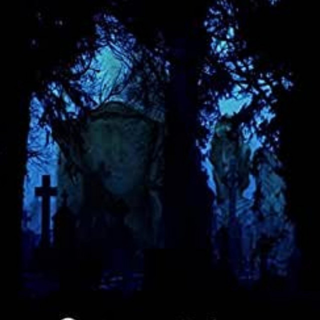 Transcendence Into the Light of Darkness