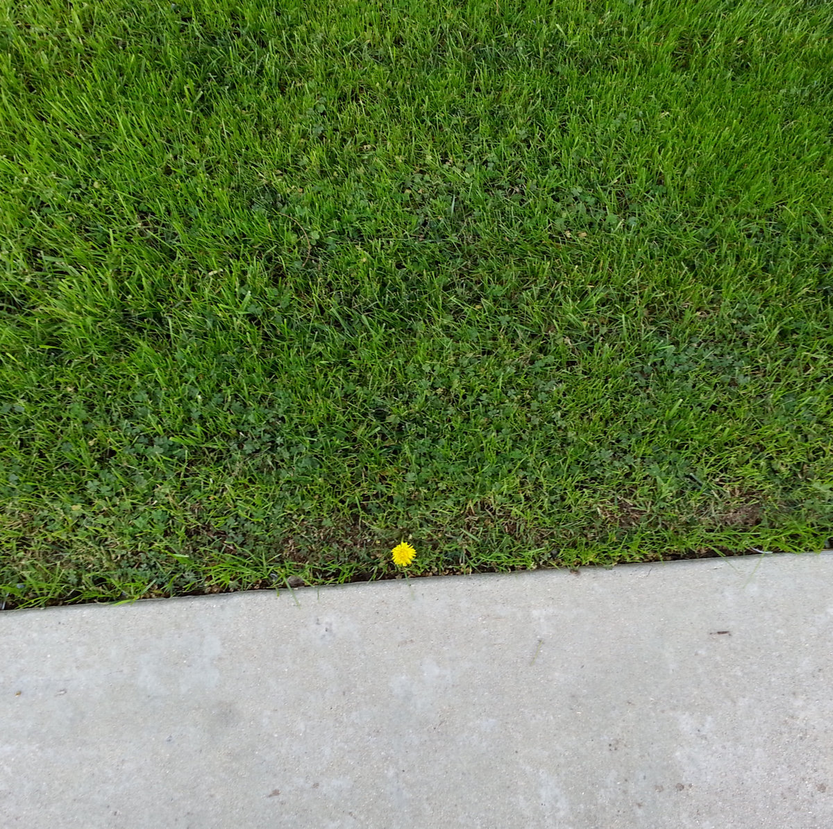 Post-Traumatic Growth