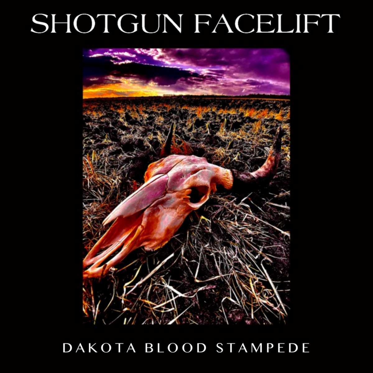 Dakota Blood Stampede