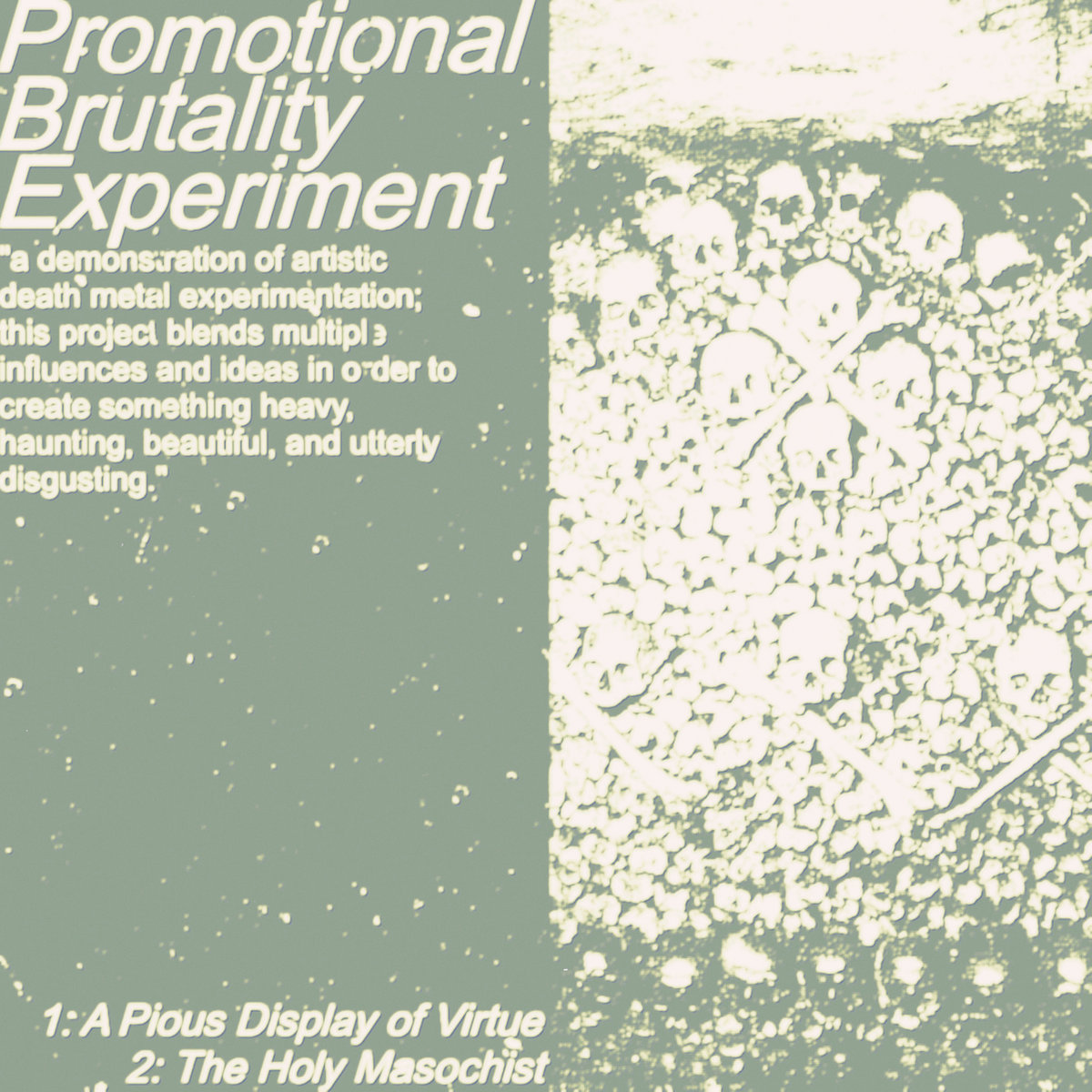 Promotional Brutality Experiment